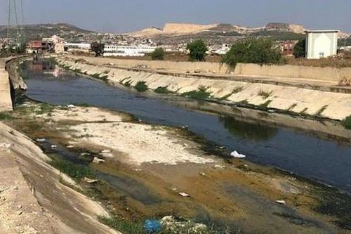 Nhiều loại thuốc tân dược đang gây ô nhiễm các con sông toàn cầu