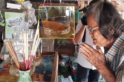 Bắt được 2 con cá 'lạ', cả dân làng ùa đến thắp nhang, cầu khẩn để xin may mắn