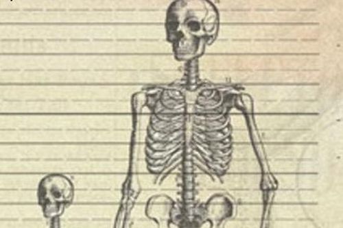 Những bộ xương người khổng lồ được phát hiện gây chấn động toàn cầu