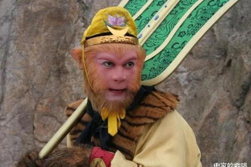 Bất ngờ nguồn gốc áo choàng da hổ Tôn Ngộ Không khoác trên người