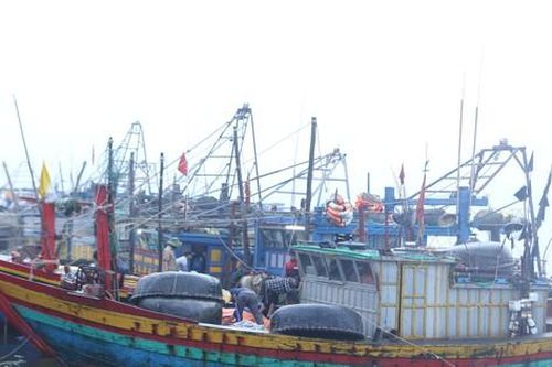 Xăng dầu tăng giá: Ngư dân, doanh nghiệp vận tải ngắc ngoải