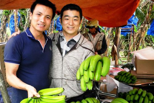 Chuối Laba Đạ K'Nàng xuất ngoại
