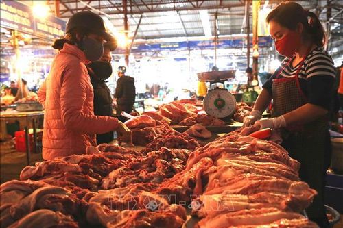 Hà Nội: Sẽ lấy mẫu xét nghiệm nhanh thực phẩm hàng ngày tại chợ