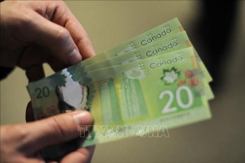 Ngân hàng Canada được tạm đóng băng tài khoản nghi ngờ tài trợ biểu tình