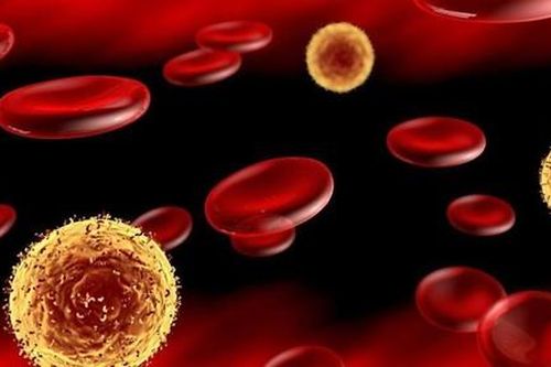 Người phụ nữ đầu tiên được chữa khỏi HIV/AIDS