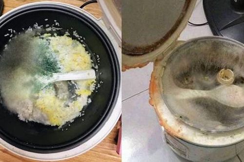 Kinh hoàng loạt nồi cơm điện mốc xanh mốc trắng sau Tết vì quên rửa và cách xử lý bất ngờ