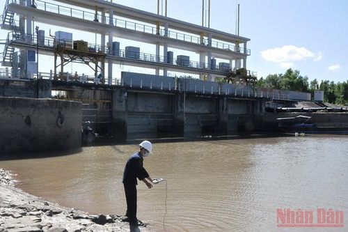 Thích nghi dần với hạn, mặn