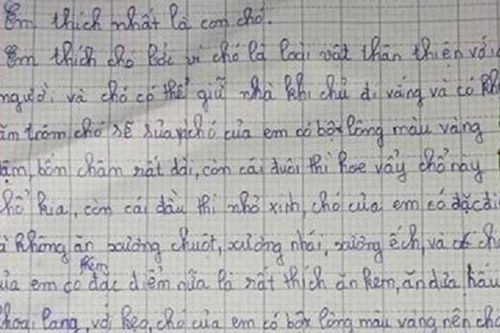 Cún cưng của bé gái thích ăn kem, có lúc 'bỏ nhà theo trai'