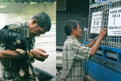 Người đàn ông vô gia cư nhặt ve chai nuôi đàn chó 30 con suốt 30 năm