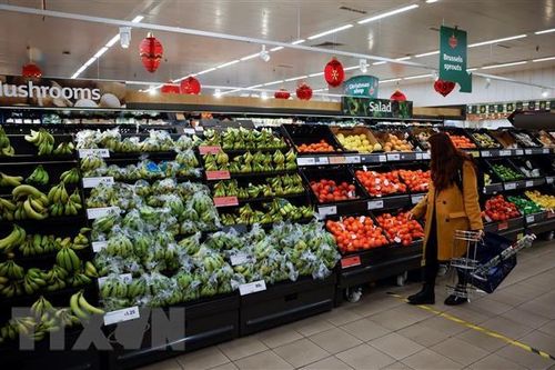 IMF: Hạn chế về nguồn cung của châu Âu có thể kéo dài đến 2023