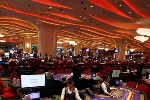 Casino thí điểm cho người Việt vào chơi: 3 năm lỗ hơn 2.700 tỷ đồng