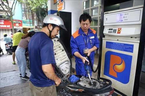 Bình Định kiểm tra đột xuất hoạt động kinh doanh xăng dầu