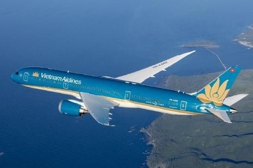 Nhật bắt giữ nghi phạm 17 tuổi dọa bắn rơi máy bay Vietnam Airlines