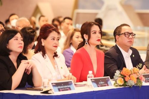 Trương Ngọc Ánh đảm nhận vai trò mới, cầm trịch 2 cuộc thi hoa hậu trong năm 2022
