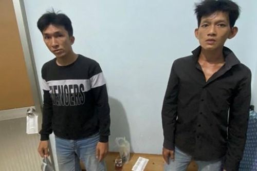 Bắt giữ 2 đối tượng gây ra hàng loạt vụ trộm ti vi, cây kiểng