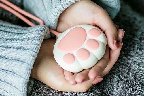Hà Nội rét tê tái, chị em phát cuồng món đồ tỏa hơi ấm nhỏ xinh