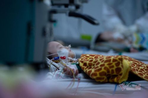 PGS.TS Nguyễn Lân Hiếu chỉ sai lầm khi chăm sóc trẻ mắc Covid-19 tại nhà