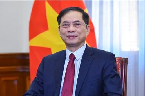 Kiều bào củng cố khối đại đoàn kết toàn dân tộc, nâng cao hình ảnh, uy tín đất nước