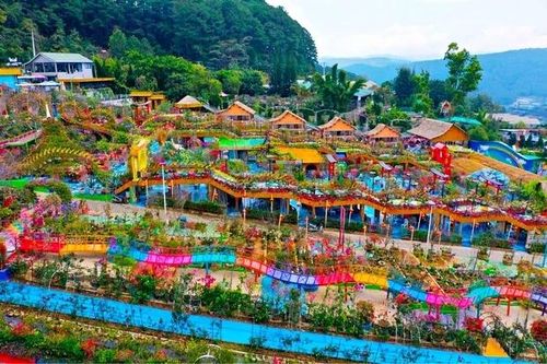 Lâm Đồng lên tiếng về 'vườn thượng uyển' bị tố phá nát cảnh quan Đà Lạt