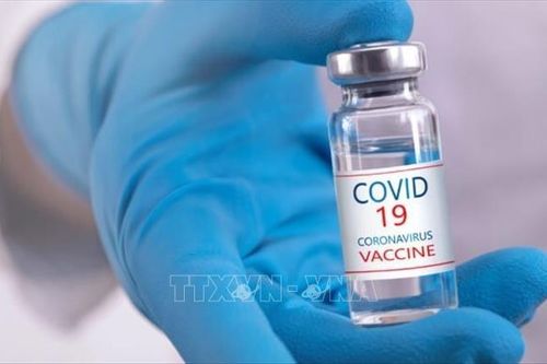 Triển vọng bào chế vaccine phòng ngừa các bệnh lây từ động vật sang người