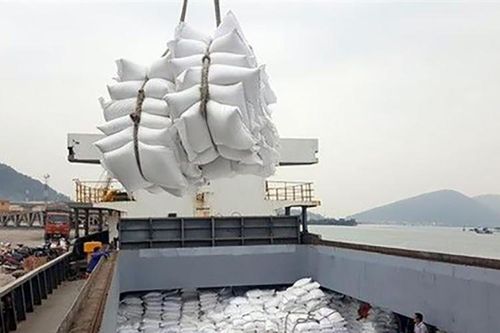 Khai thác tiềm năng hợp tác thương mại Việt Nam-Nam Phi