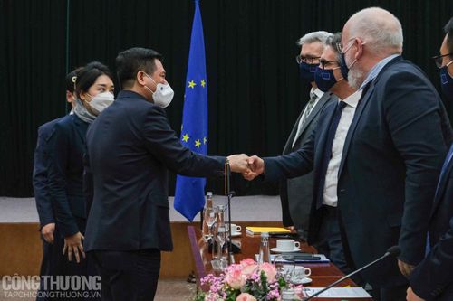Thúc đẩy hợp tác Việt Nam - EU về năng lượng và thương mại