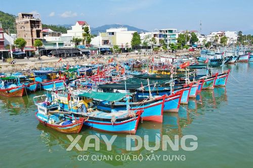 Sôi động những chuyến biển đầu năm