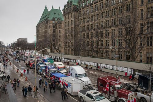 Ai là người Canada điển hình? Ôn hòa hay la hét như Đoàn xe Tự do?