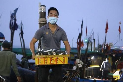 'Thủ phủ' hải sản Hà Tĩnh trước ngày biển động