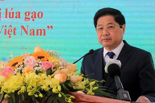 Triển khai dự án 4,5 triệu USD do Chính phủ Hàn Quốc viện trợ không hoàn lại