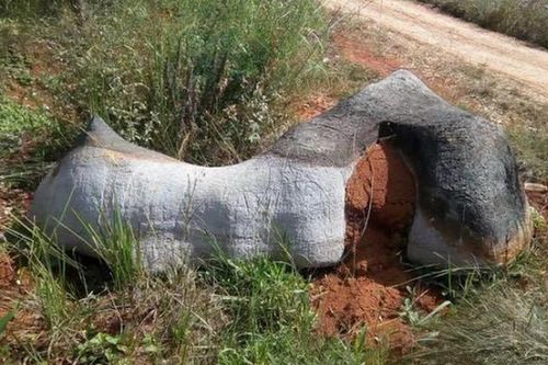 Hòn đá được trả 350 triệu không bán, chuyên gia thốt lên: 'Là báu vật'!