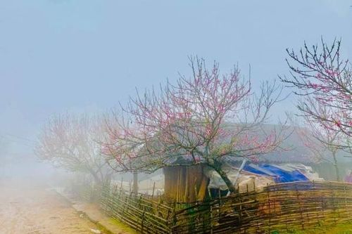 Cu Vai - Bản làng nơi 'níu gió vờn mây'