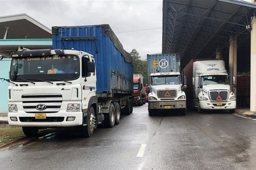 Xuất, nhập cảnh qua cửa khẩu quốc tế tại Quảng Trị tăng mạnh