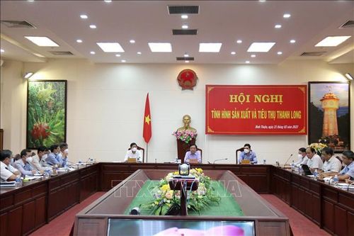 Tìm hướng sản xuất và tiêu thụ thanh long bền vững