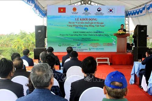 'Cải tiến chuỗi giá trị lúa gạo vùng Đồng bằng sông Hồng, Việt Nam'
