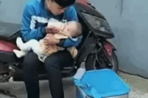'Cô bé shipper' đáng yêu làm tan chảy mọi trái tim