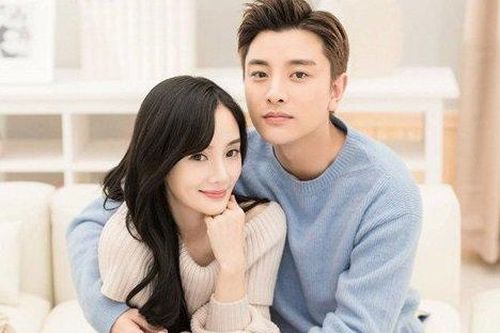 Lý Tiểu Lộ chấm dứt quan hệ kinh tế với Giả Nãi Lượng
