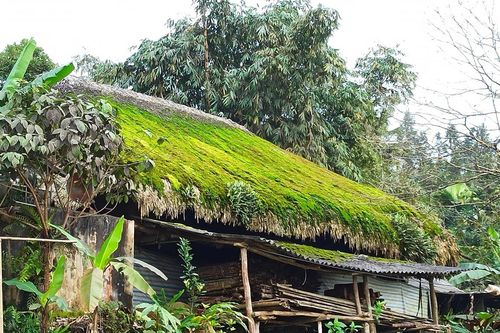 Mái nhà rêu xanh đẹp như tranh ở Hà Giang