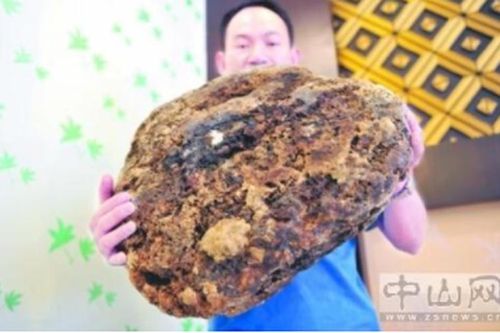 Vớt được 'hòn đá' lạ trên biển, chàng trai phát tài trong phút chốc