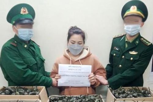 Thanh Hóa: Bắt quả tang đối tượng vận chuyển 40 kg quả thuốc phiện