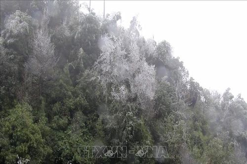 Băng giá xuất hiện nhiều nơi ở các huyện vùng cao Trạm Tấu, Mù Cang Chải