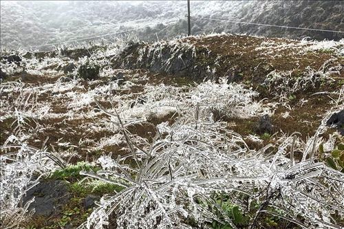 Lạnh sâu kéo dài khiến băng tuyết phủ trắng cao nguyên đá Hà Giang
