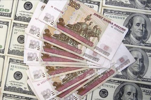 Nga nhập gấp ngoại tệ, phòng trừng phạt từ phương Tây