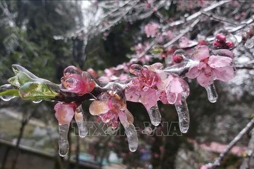 'Hoa băng' phủ trắng nhiều nơi ở Hà Giang