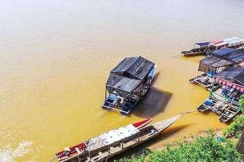 Trái tim Mekong rối nhịp