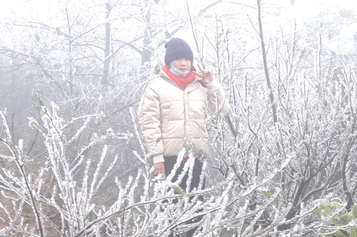 Băng giá phủ trắng núi rừng Y Tý