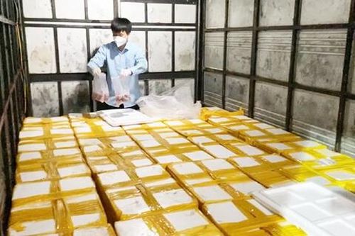 Chở hơn 1,7 tấn cá khoai ướp phoóc môn vào chợ ở Thanh Hóa