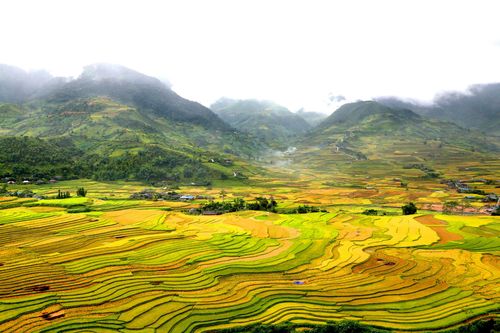Xây dựng thương hiệu di sản văn hóa trong phát triển du lịch