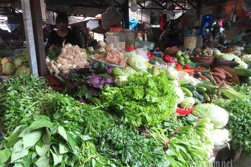 Rau tăng giá chóng mặt, rét thấu xương ra đồng hái bán lãi 400 triệu/ha