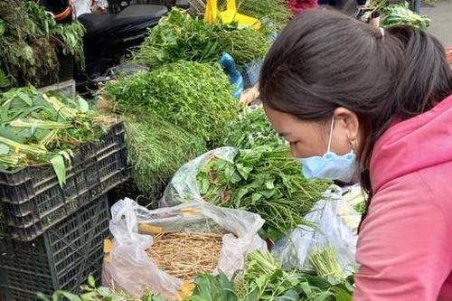 Lá xông 'đắt như tôm tươi' mùa COVID